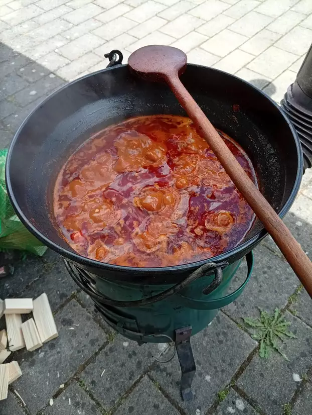 Ipoly menti művészeti fesztivál