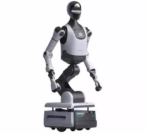 Humanoid robot