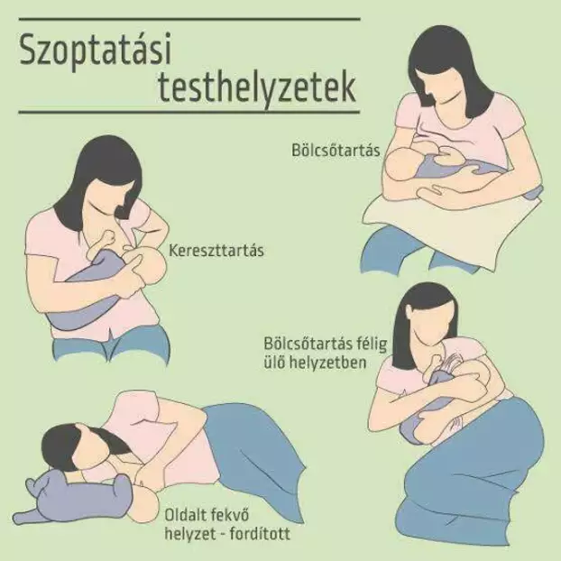 Szoptatás Világhete: a komáromi kórházban a szoptatásra is felkészítik az anyukákat – KÉPEKKEL 