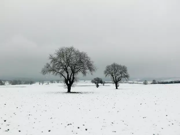 Havazás