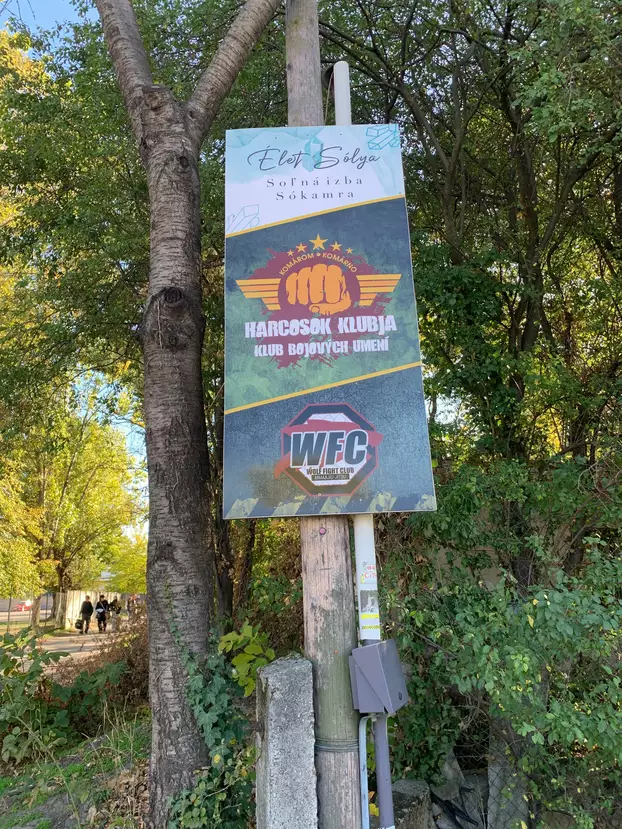 wfc tábla