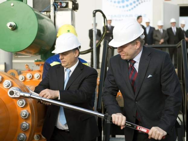 201403271742090.gaz02.jpg