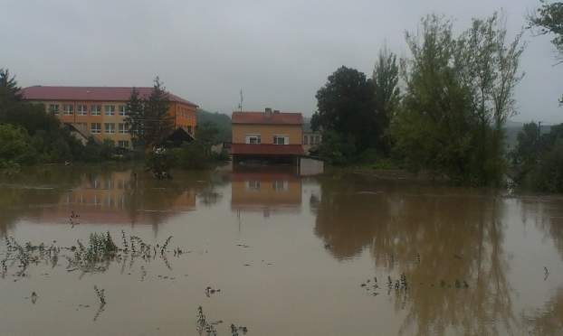 201409020848510.arviz_1098.jpg