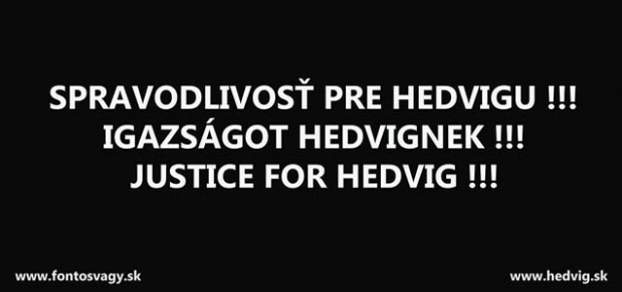 201509150821410.hedv01.jpg