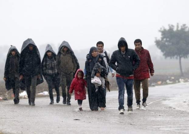 201602081727280.Migrant-620x440.jpg