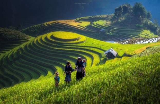 201605062354280.rice-fields-28.jpg