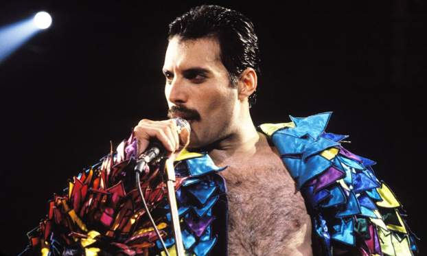 201611061841170.0000000001a_freddie.jpg