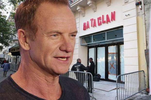201611131036560.000000000001a_Sting-Main.jpg