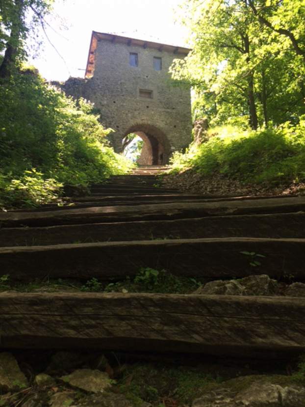 201705311817560.mur02.jpg