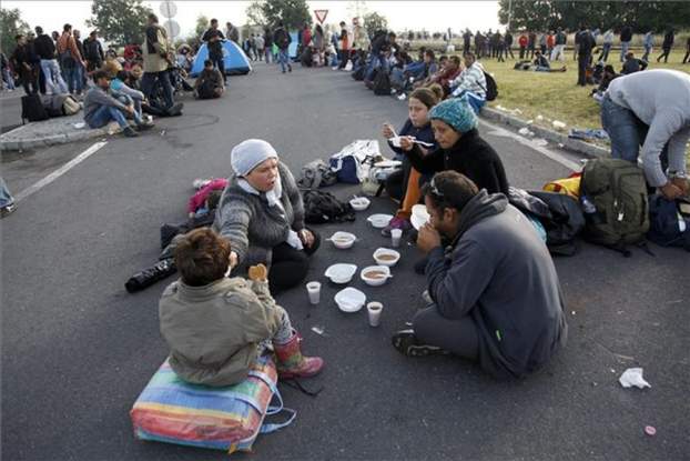 201707031410360.0000000000000000000000000001a_migrans.jpg