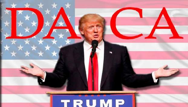 201804021244300.Donald-Trump-DACA.jpg