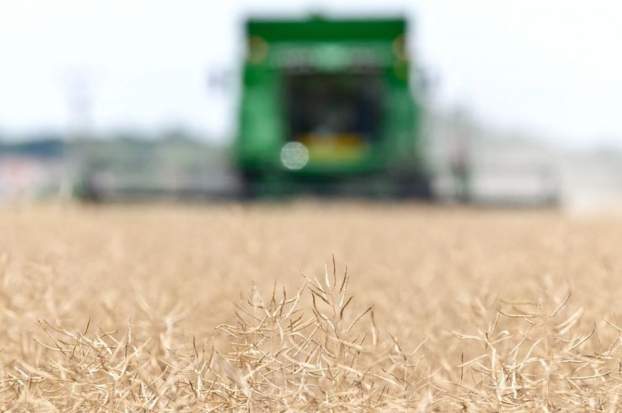 201804031734490.agro01.jpg