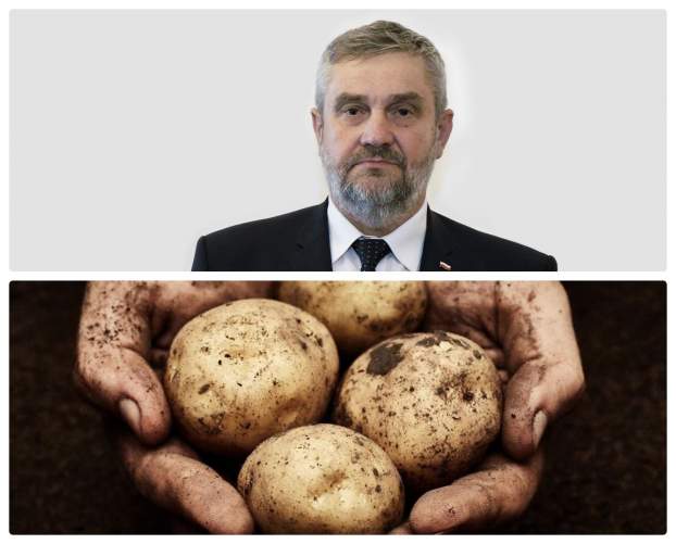 lengyel-krumpli.jpg