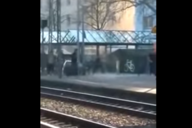 rastatt-migrant.png