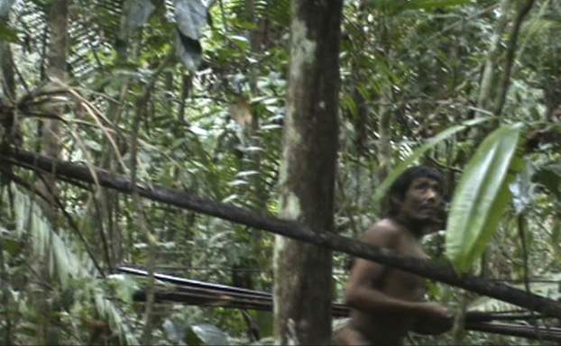 Brazília őserdő - őslakos 2011