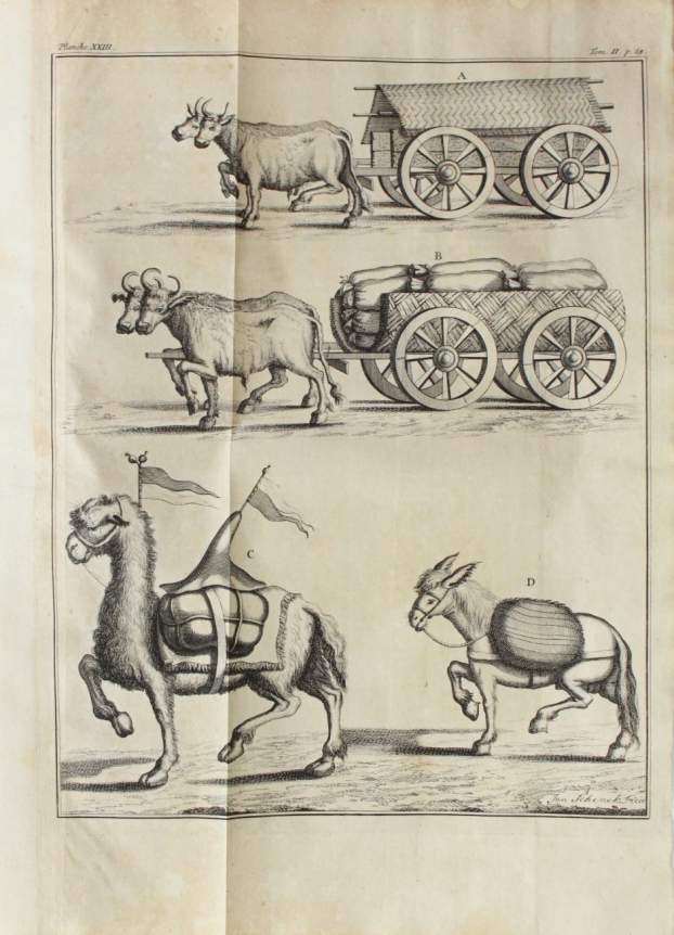 Az Ottomán Birodalomról szóló könyvének egyik rajza