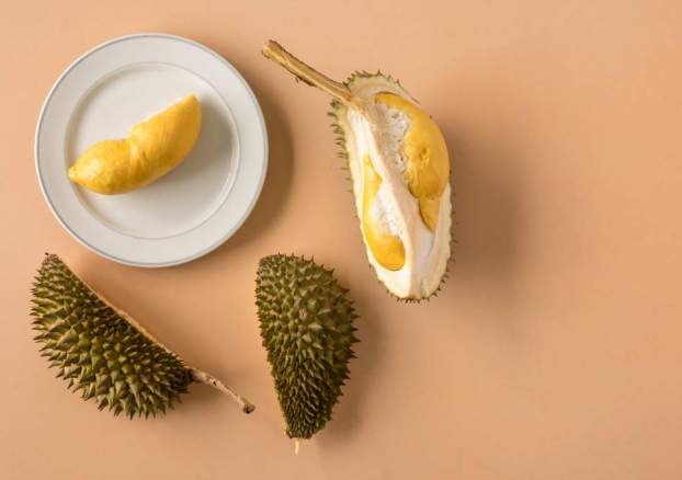 malmo-durian.jpg
