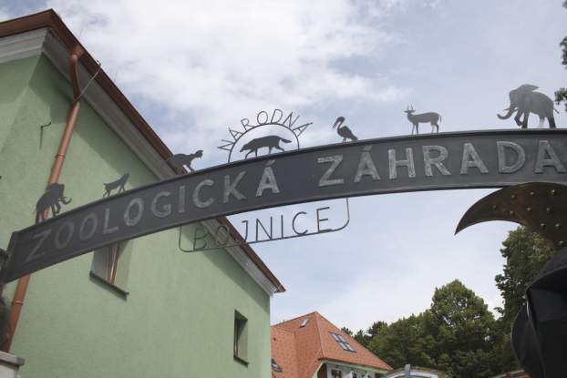 Bajmóci macik