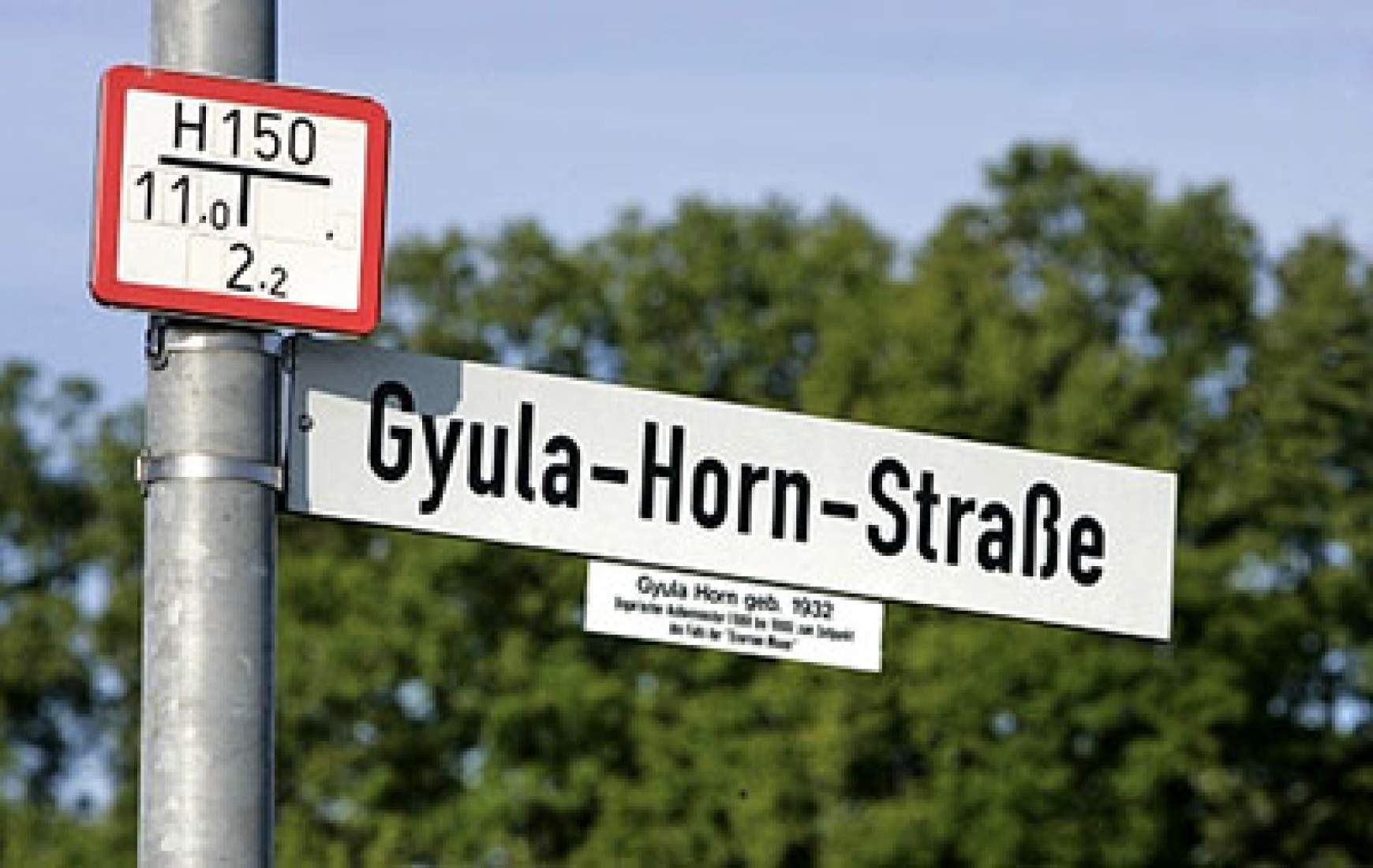 Horn Gyula, Wertheim