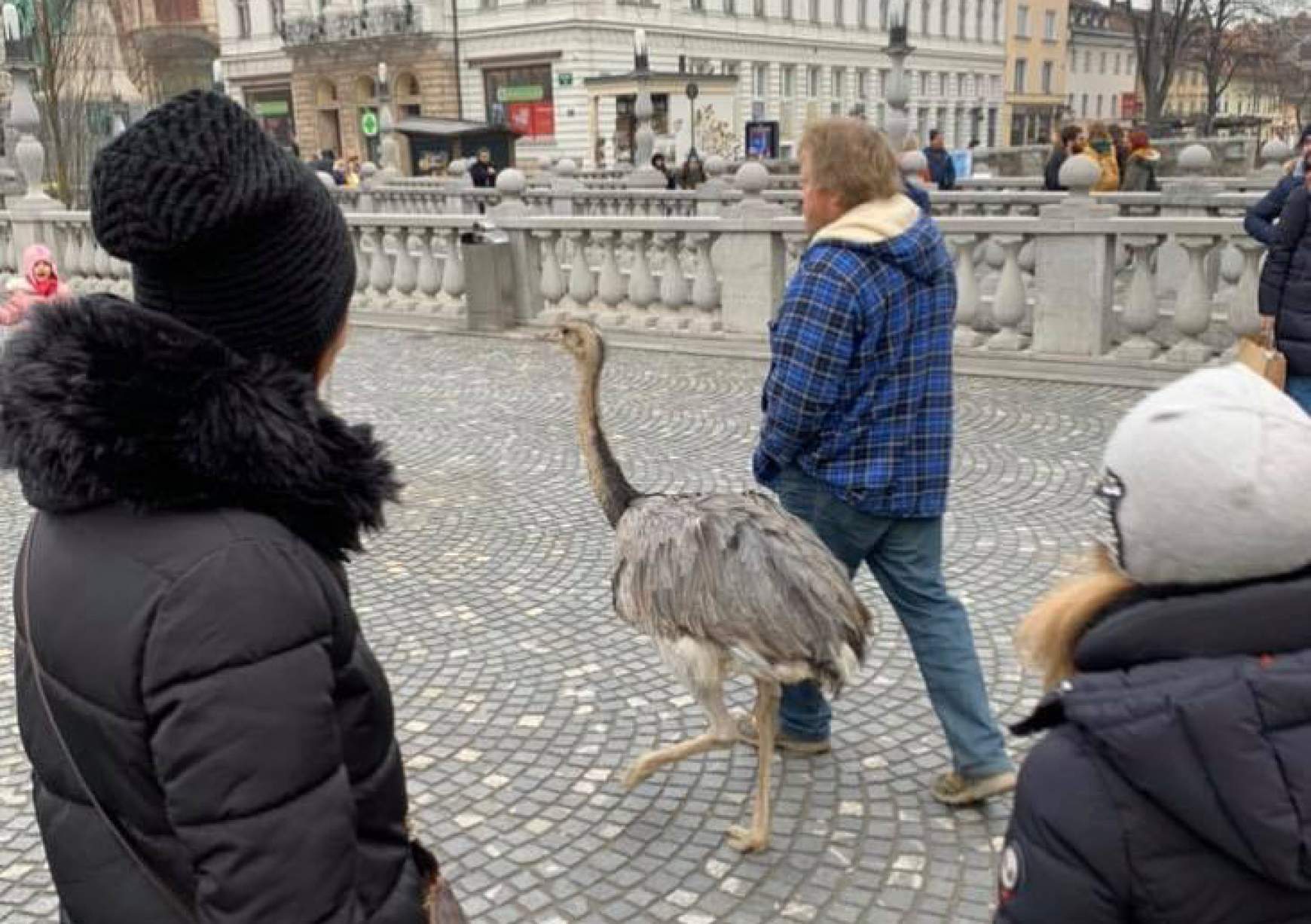 emu Velencében