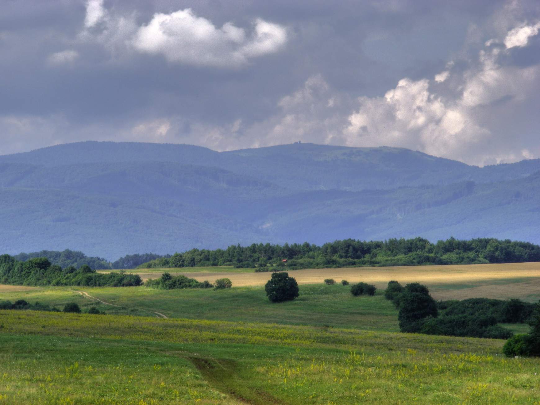 Debrőd