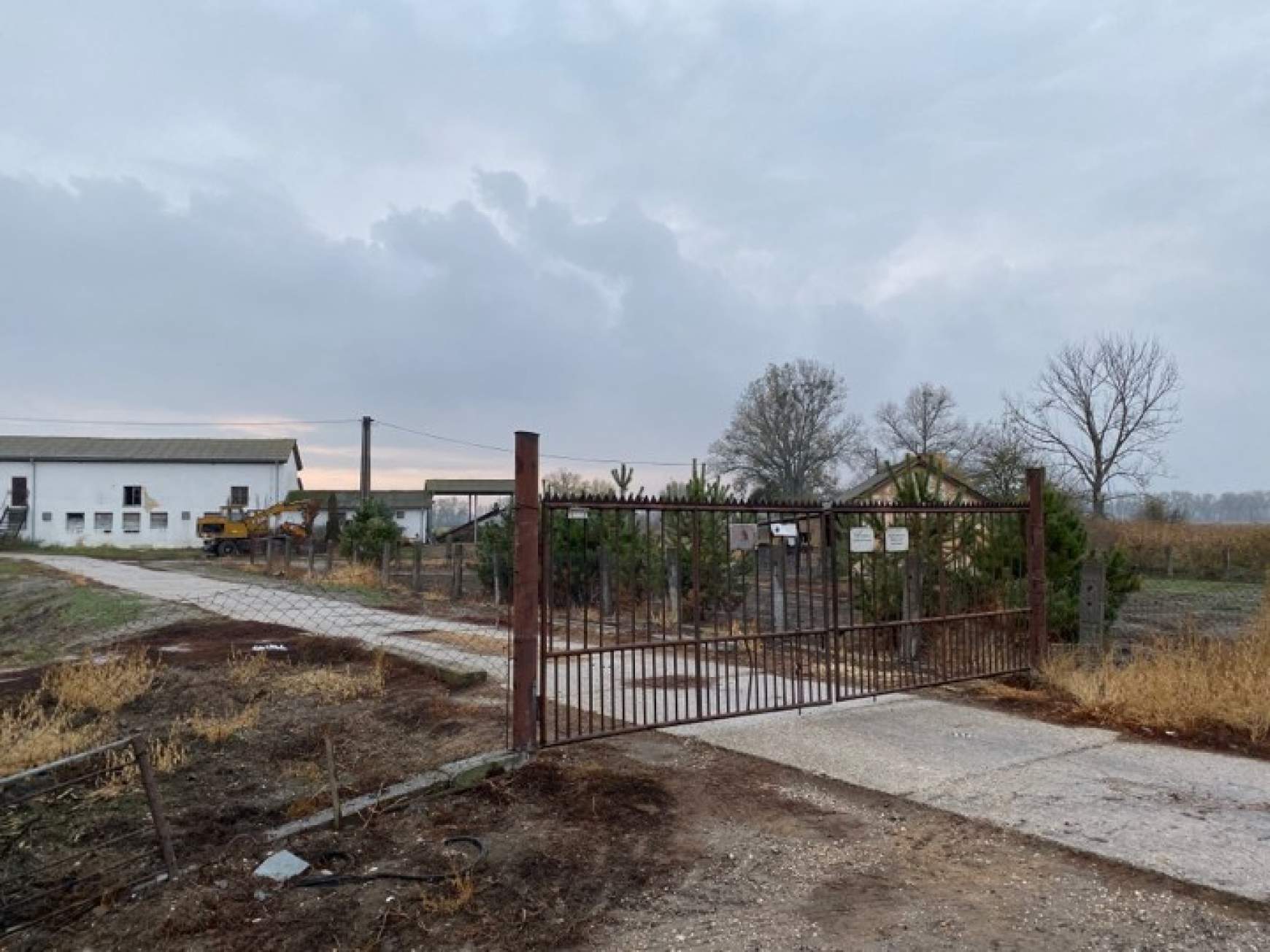 Dán sertésfarm-ügy: Gútán pontosították az állattartási szabályokat