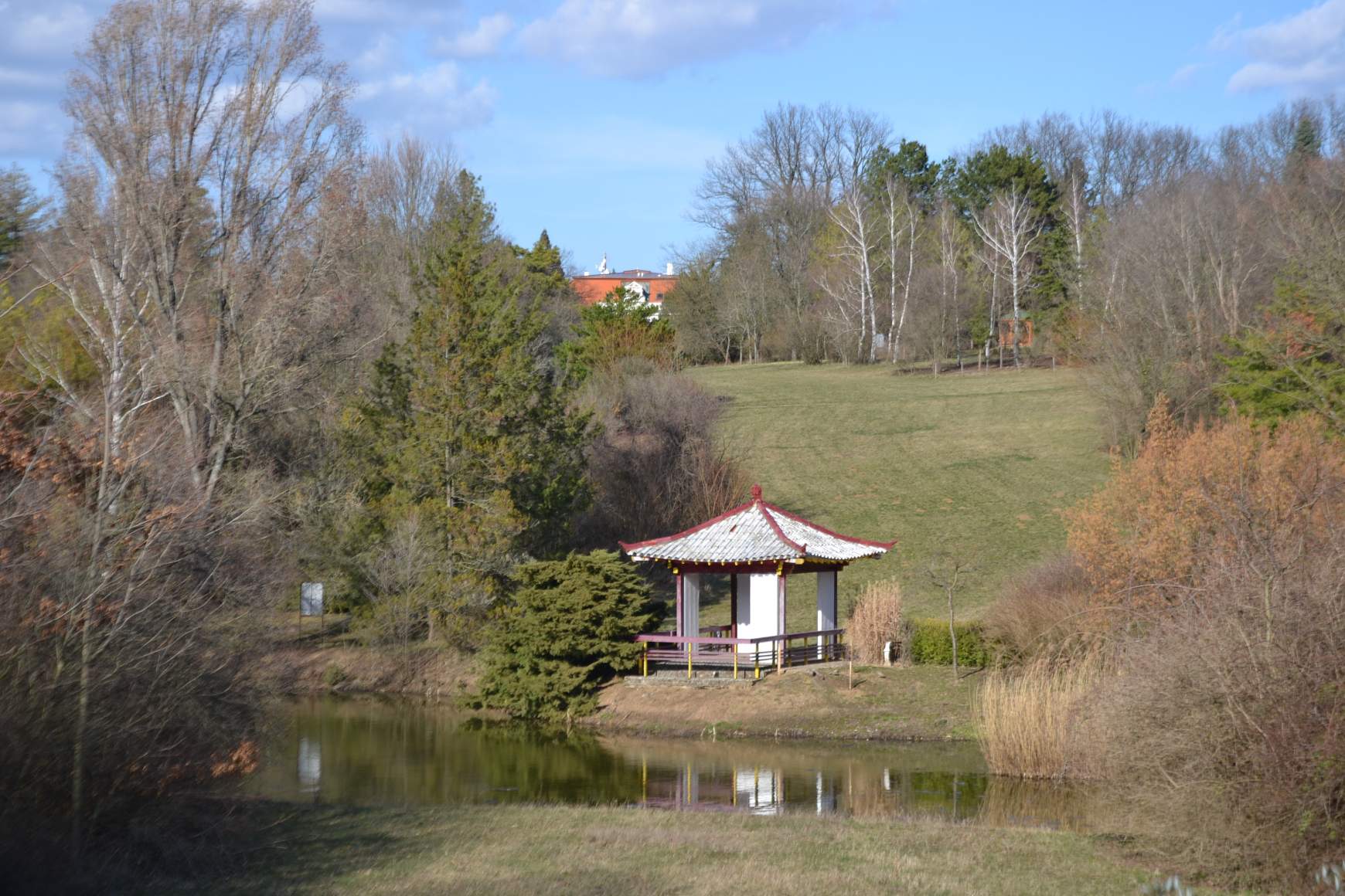 Malonya arborétum03