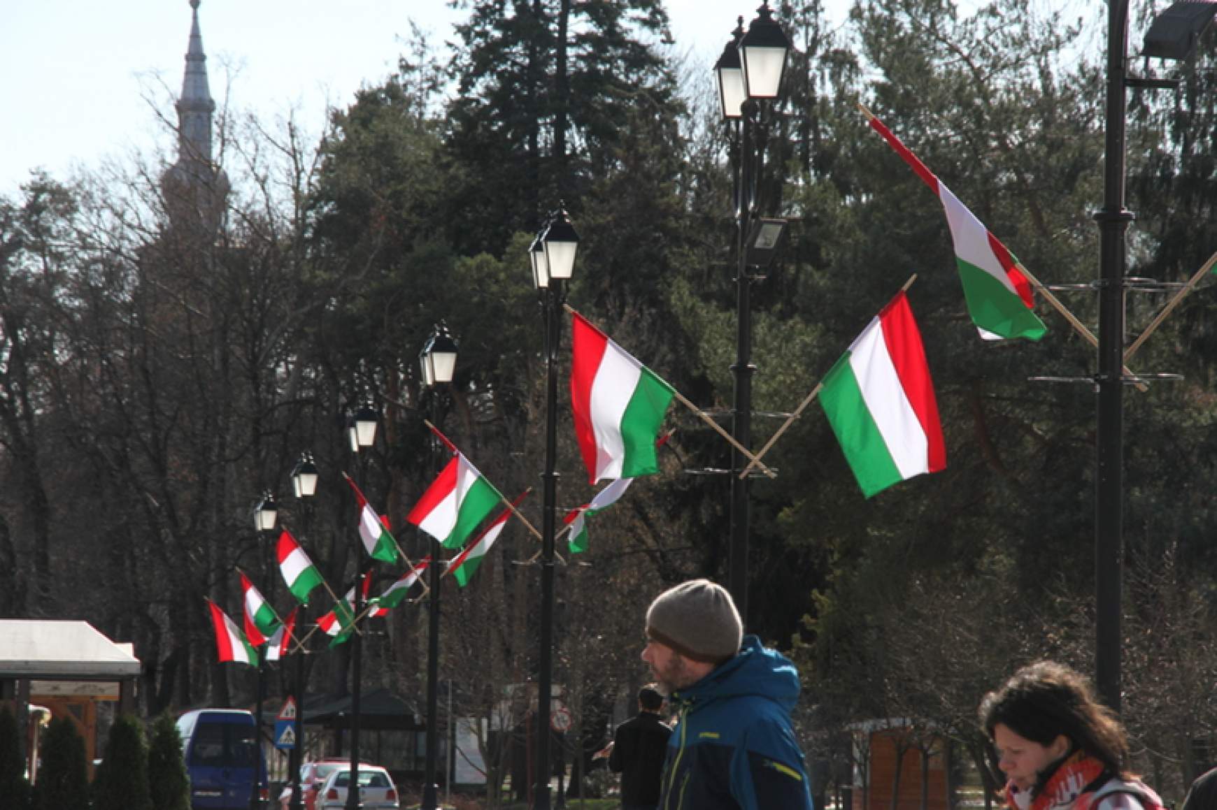 Erdély-magyar zászló