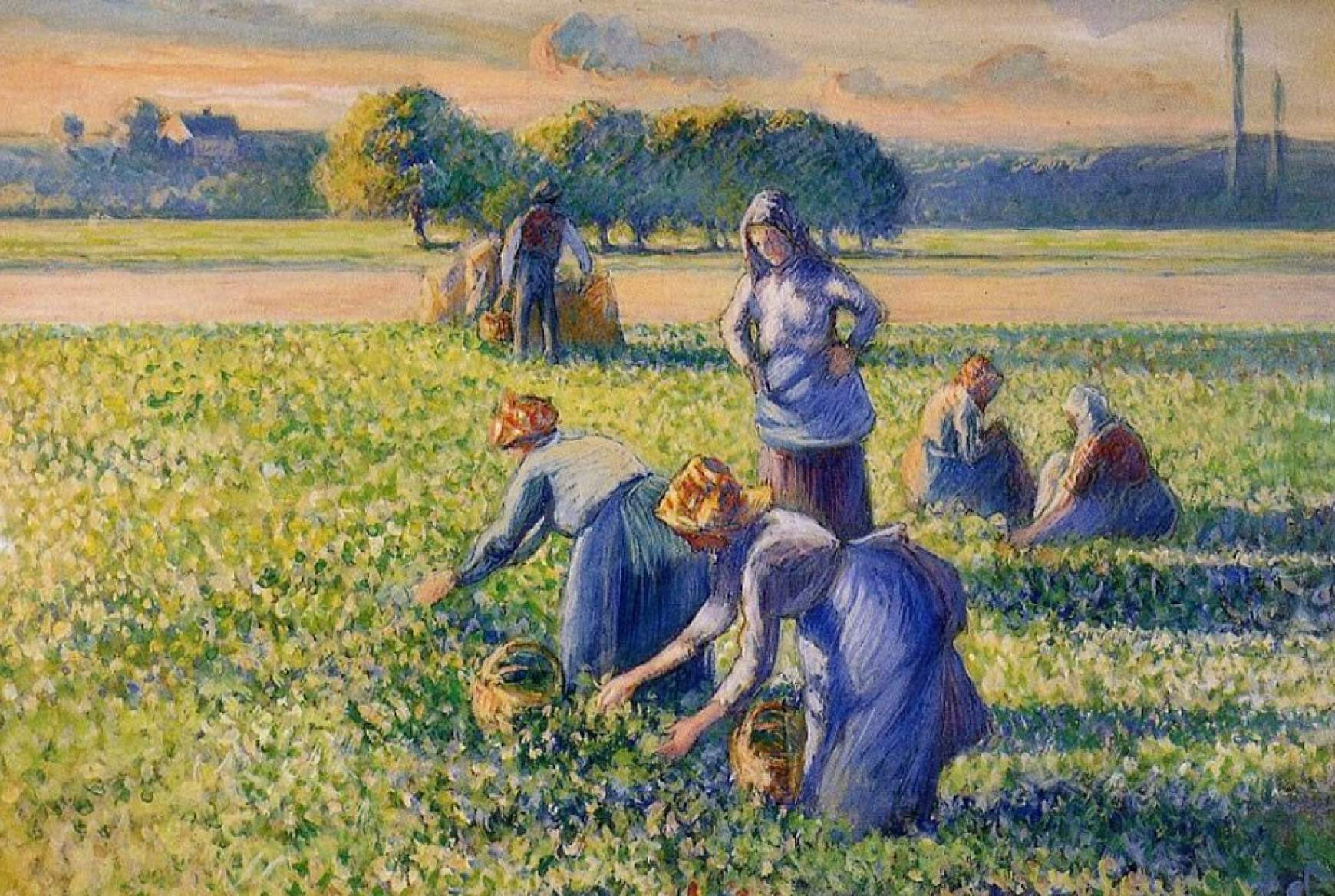 Camille Pissarro: Aratás