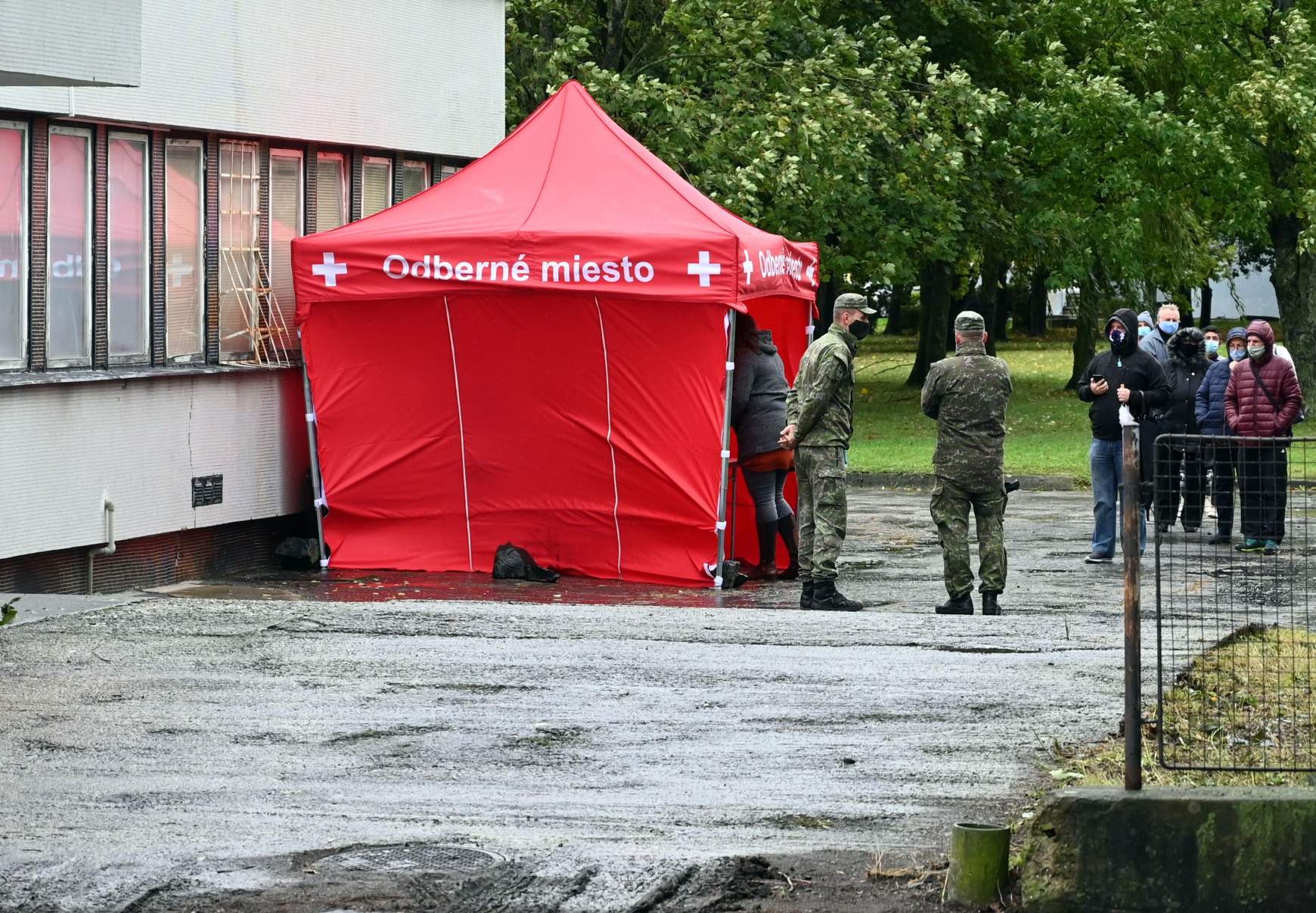 Tőketerebes tesztelés