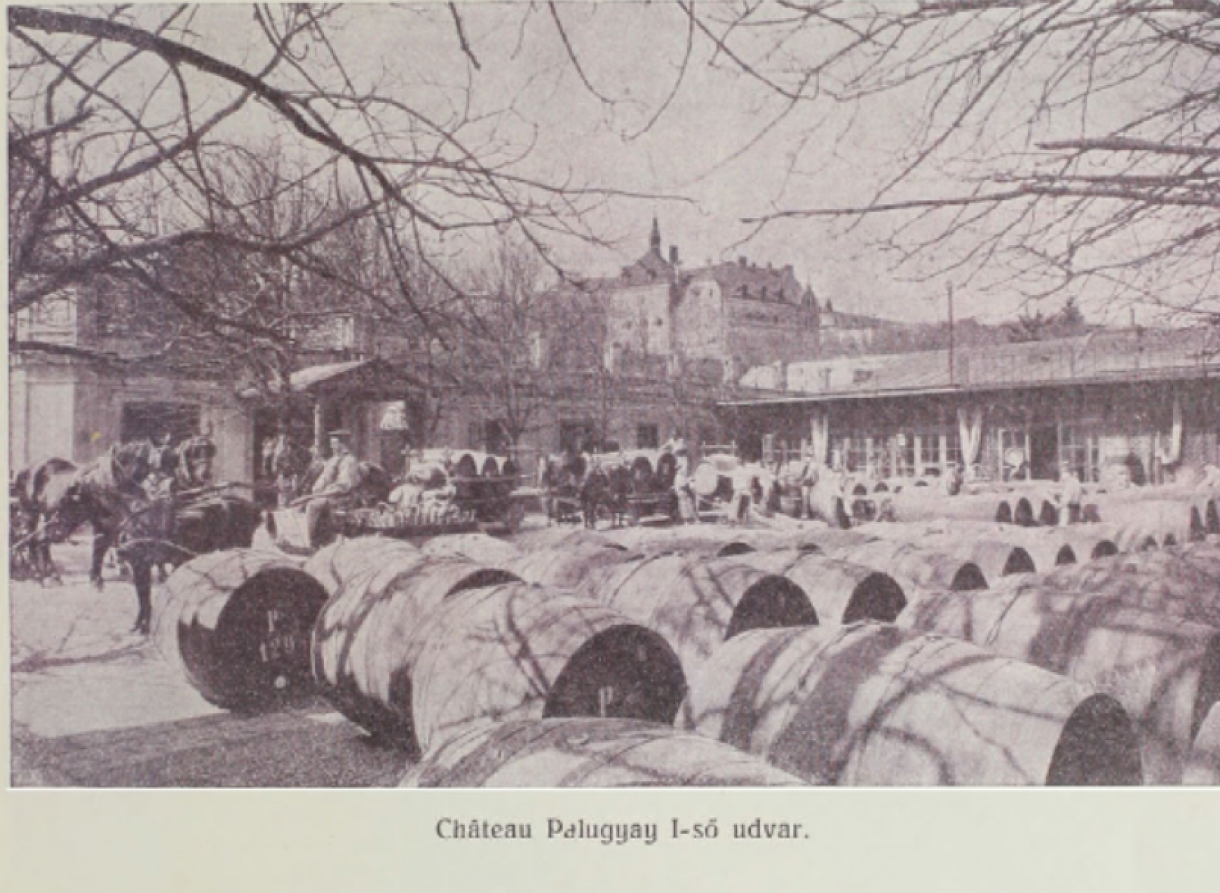 chateau1