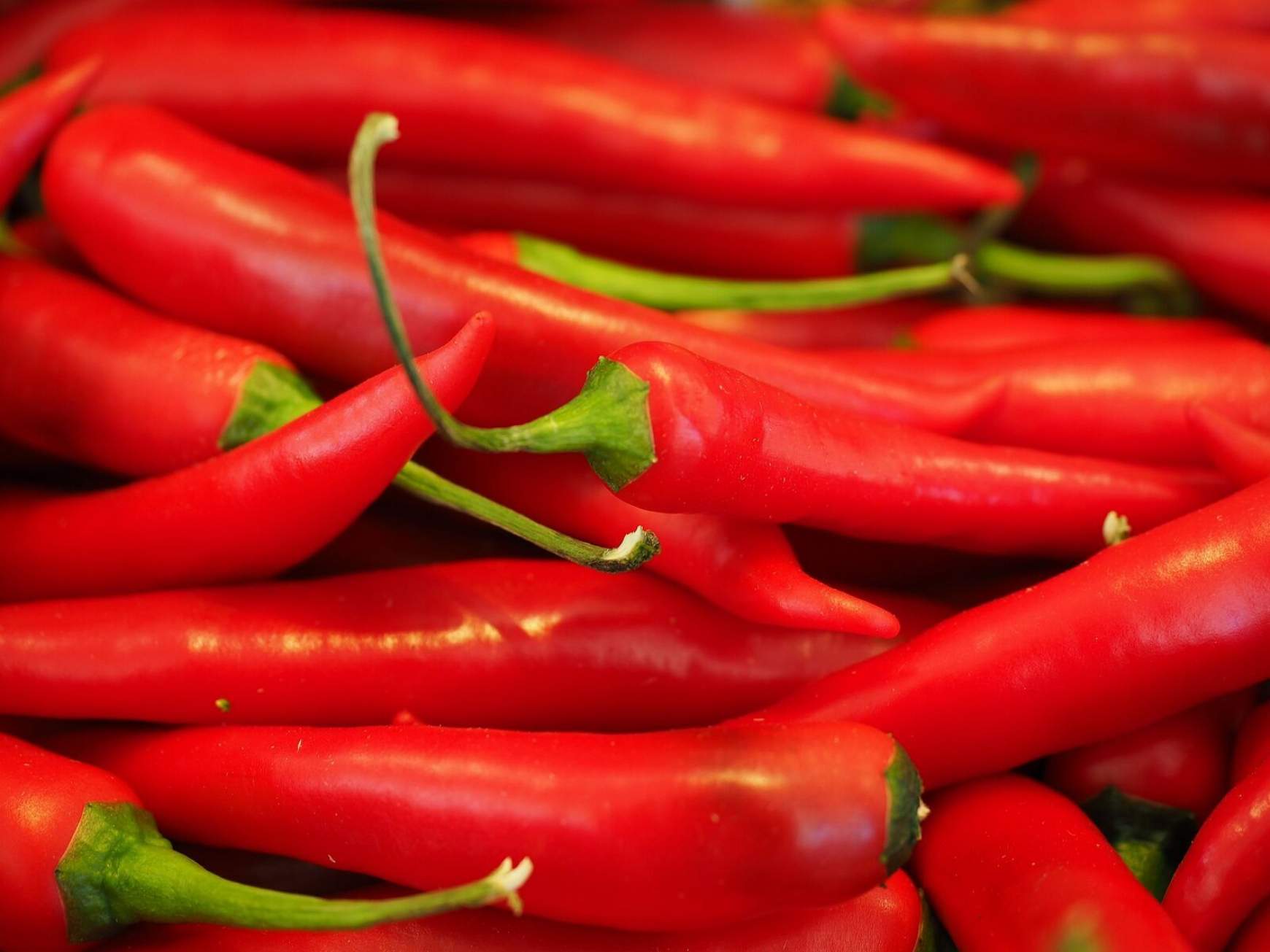 chili