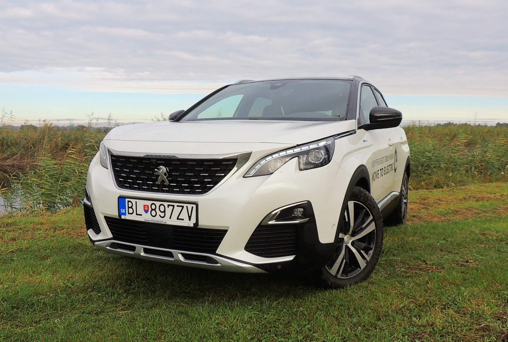 Peugeot 1.6 Hybrid4 300 LE