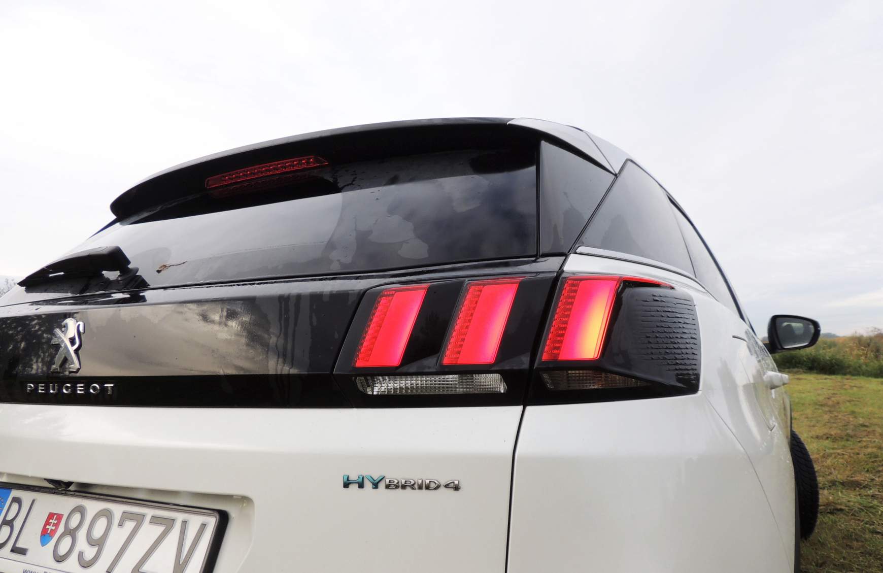 Peugeot 1.6 Hybrid4 300 LE