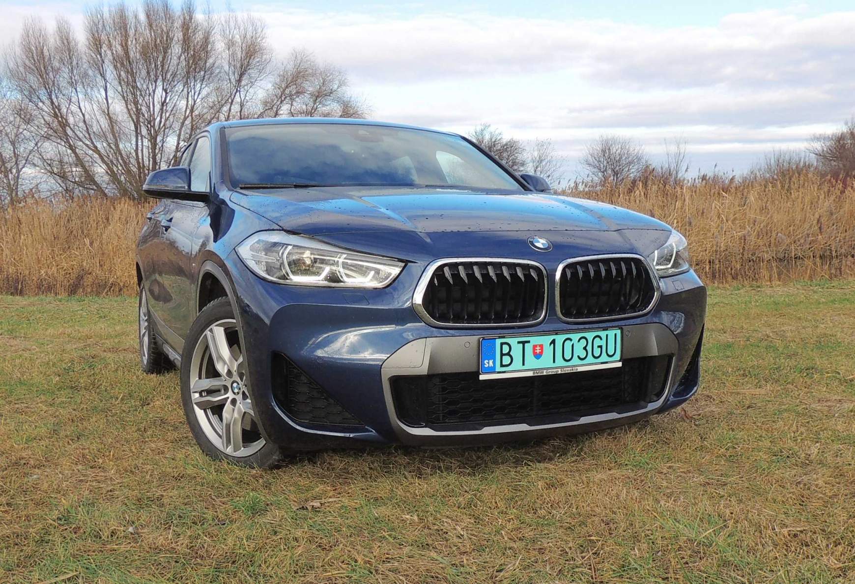 BMW X2 xDrive 25e