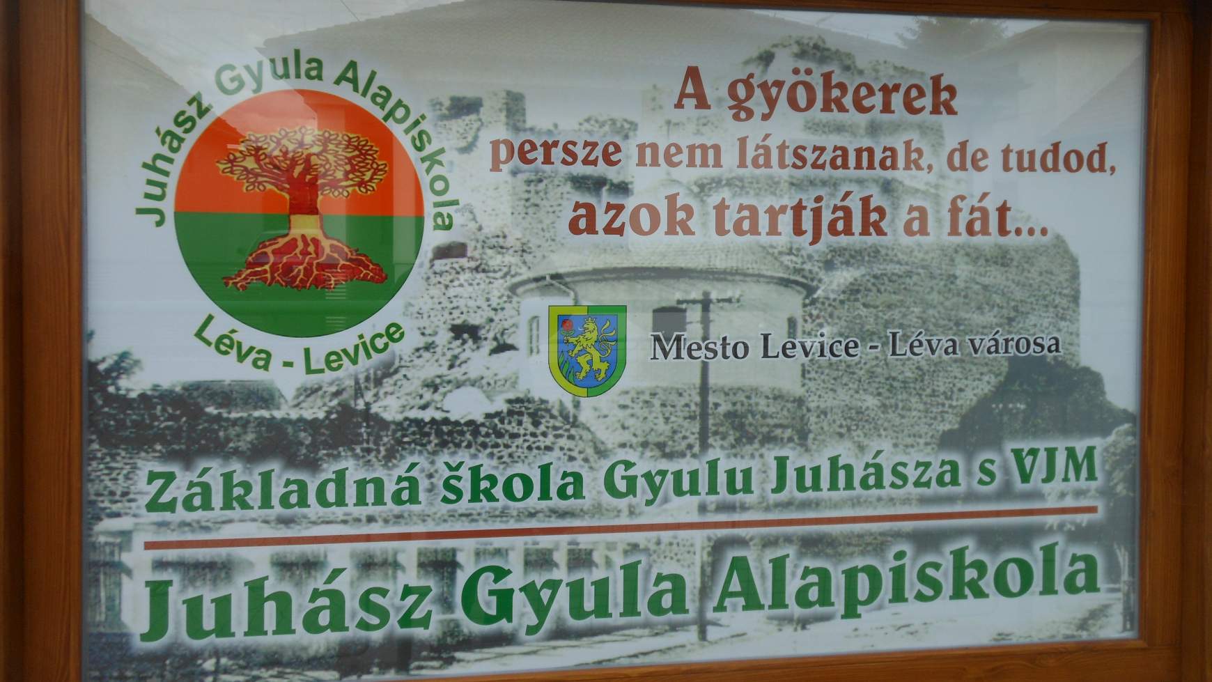 a magyar iskola jelmo