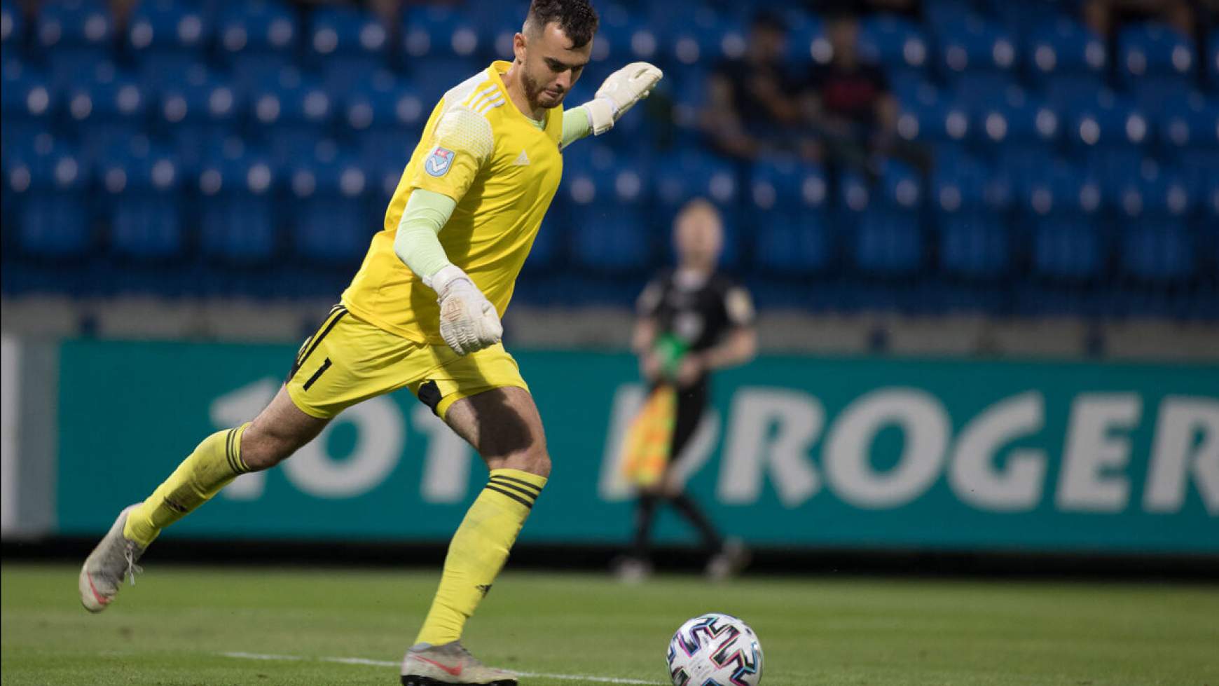 David Šípoš