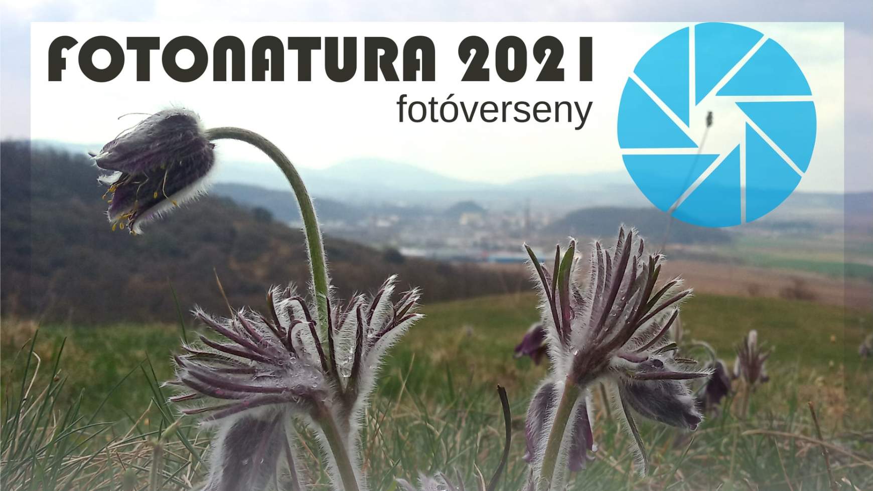 Fotonatura