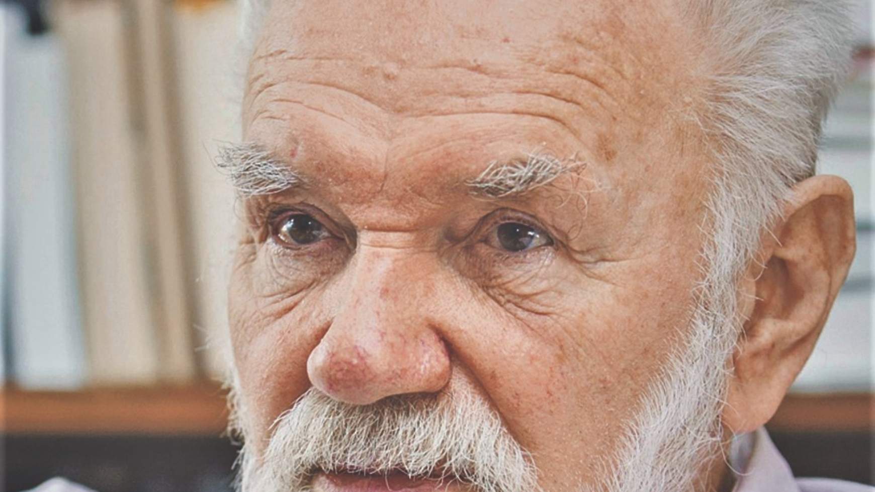 Koncsol monológ