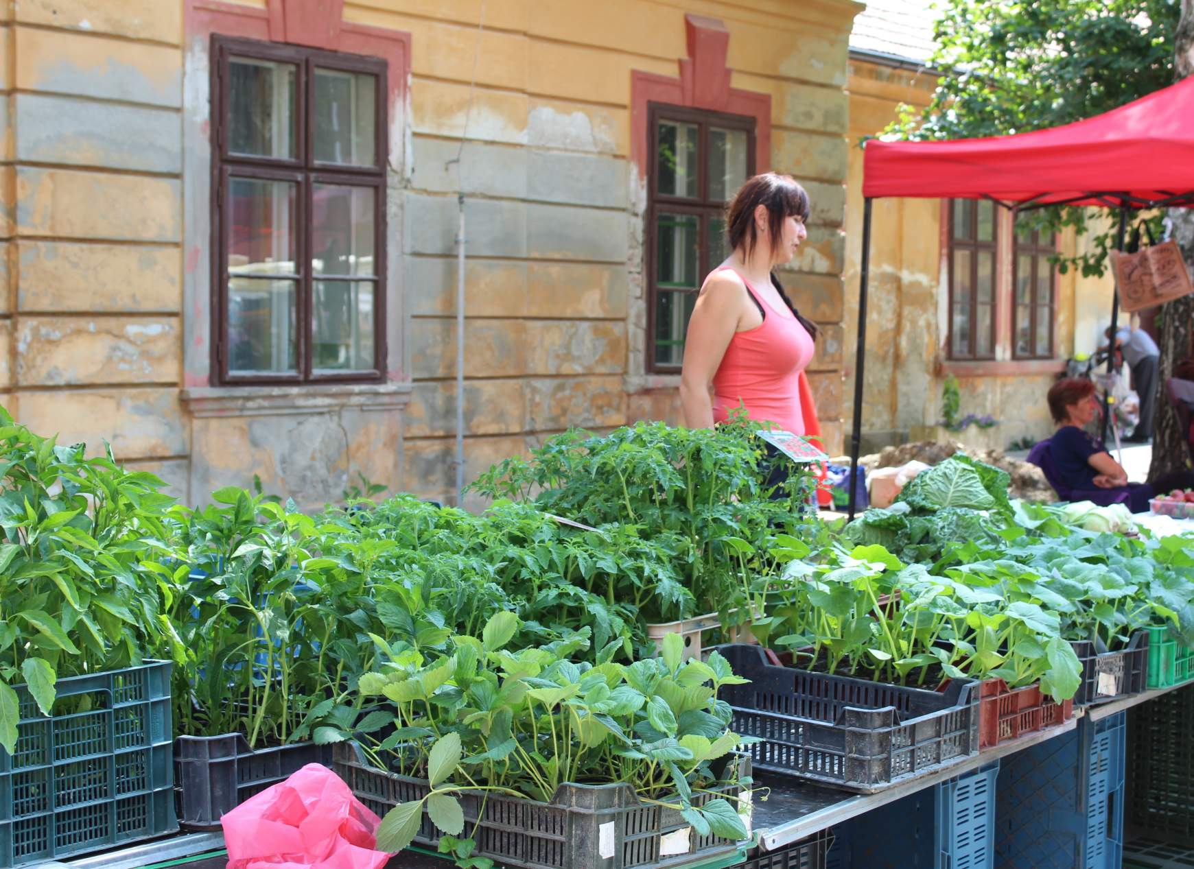 Tallósi őstermelői piac az Esterházy kastély udvarán