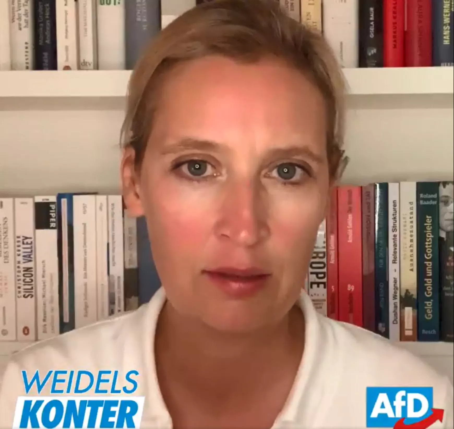 Afd jelölt