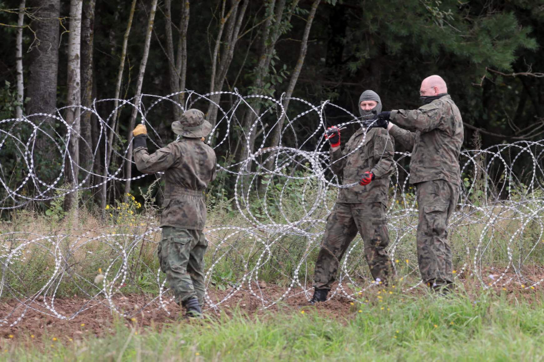 határ migráns