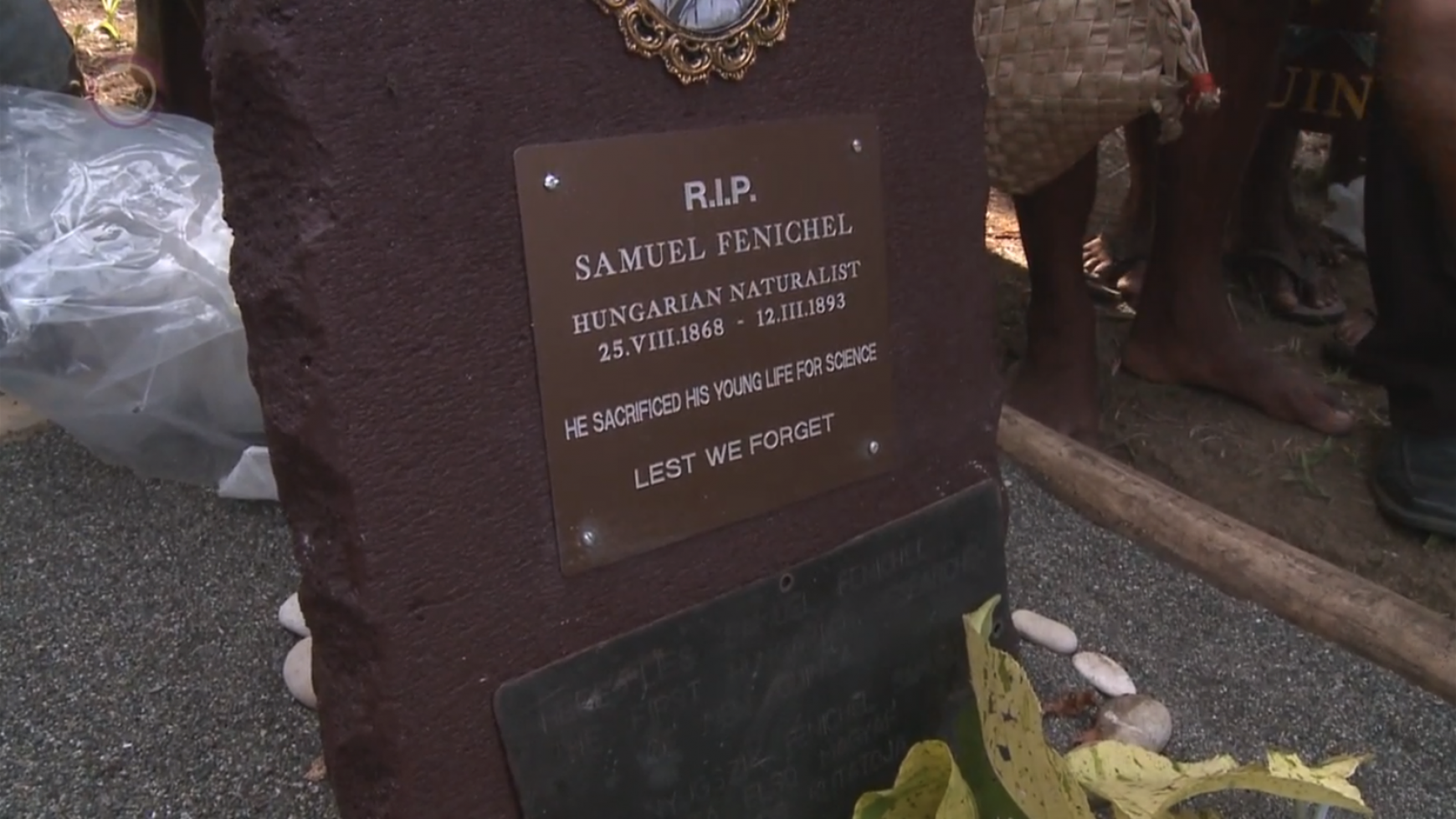 Fenichel Samu