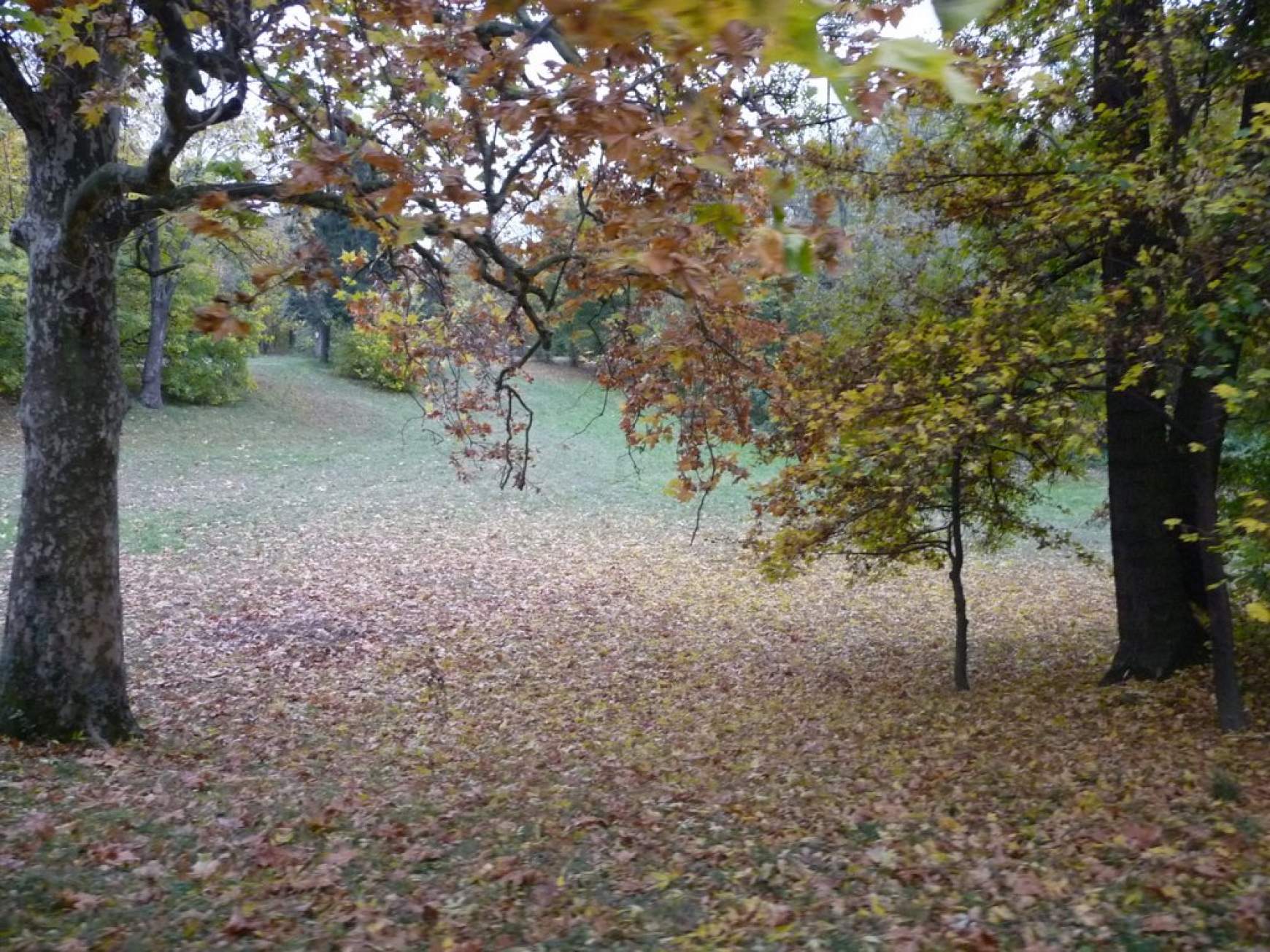 Éberhard-Apponyi-kastély-park