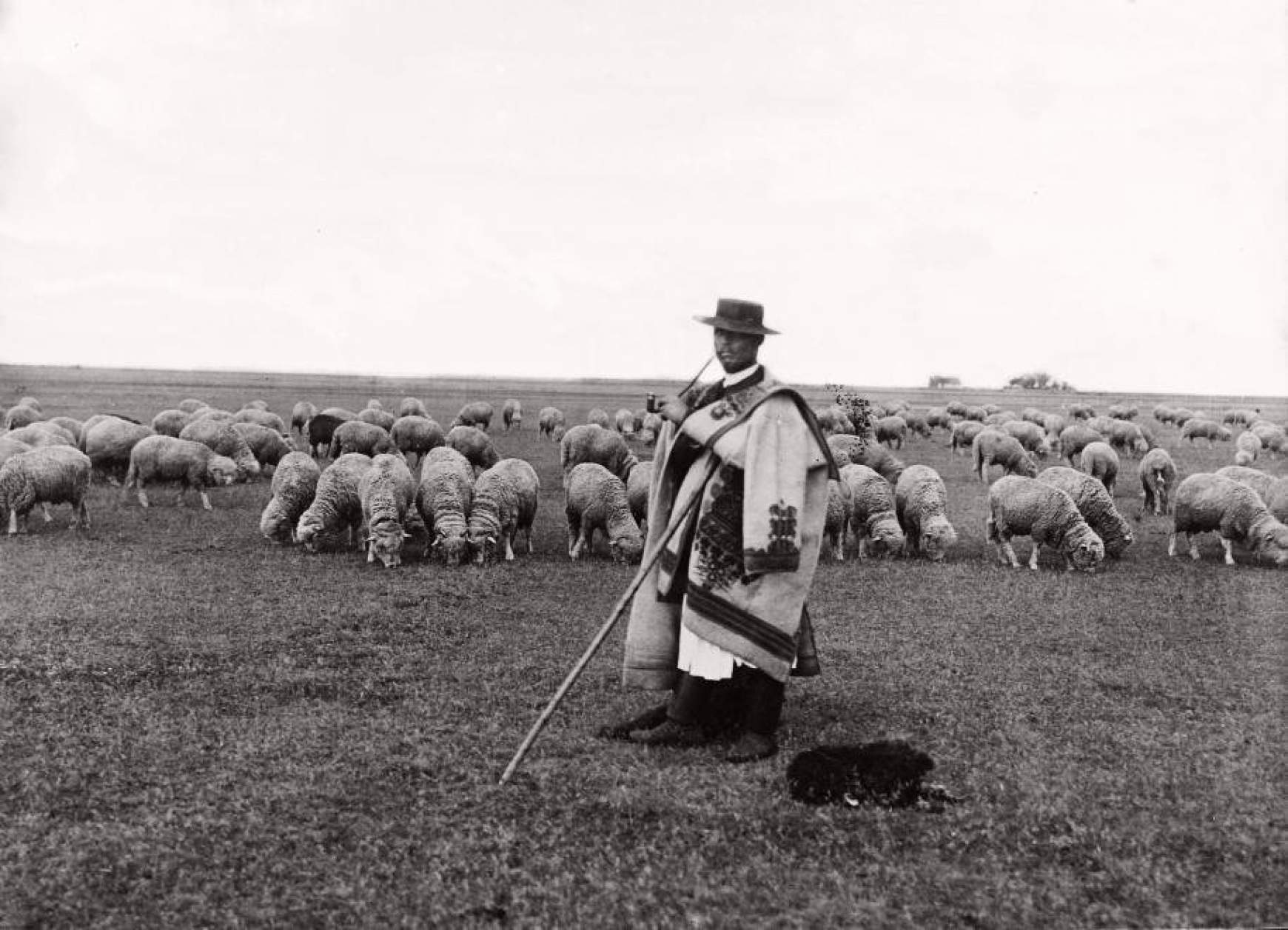 pásztor