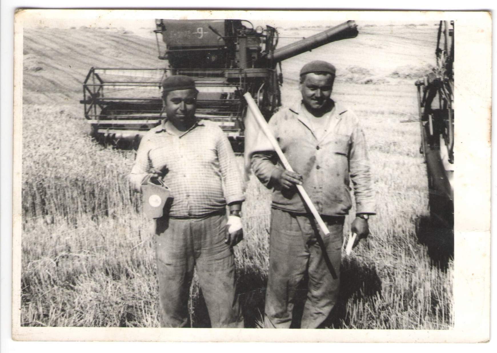 Bari kombájnosok az aratási zászlóval