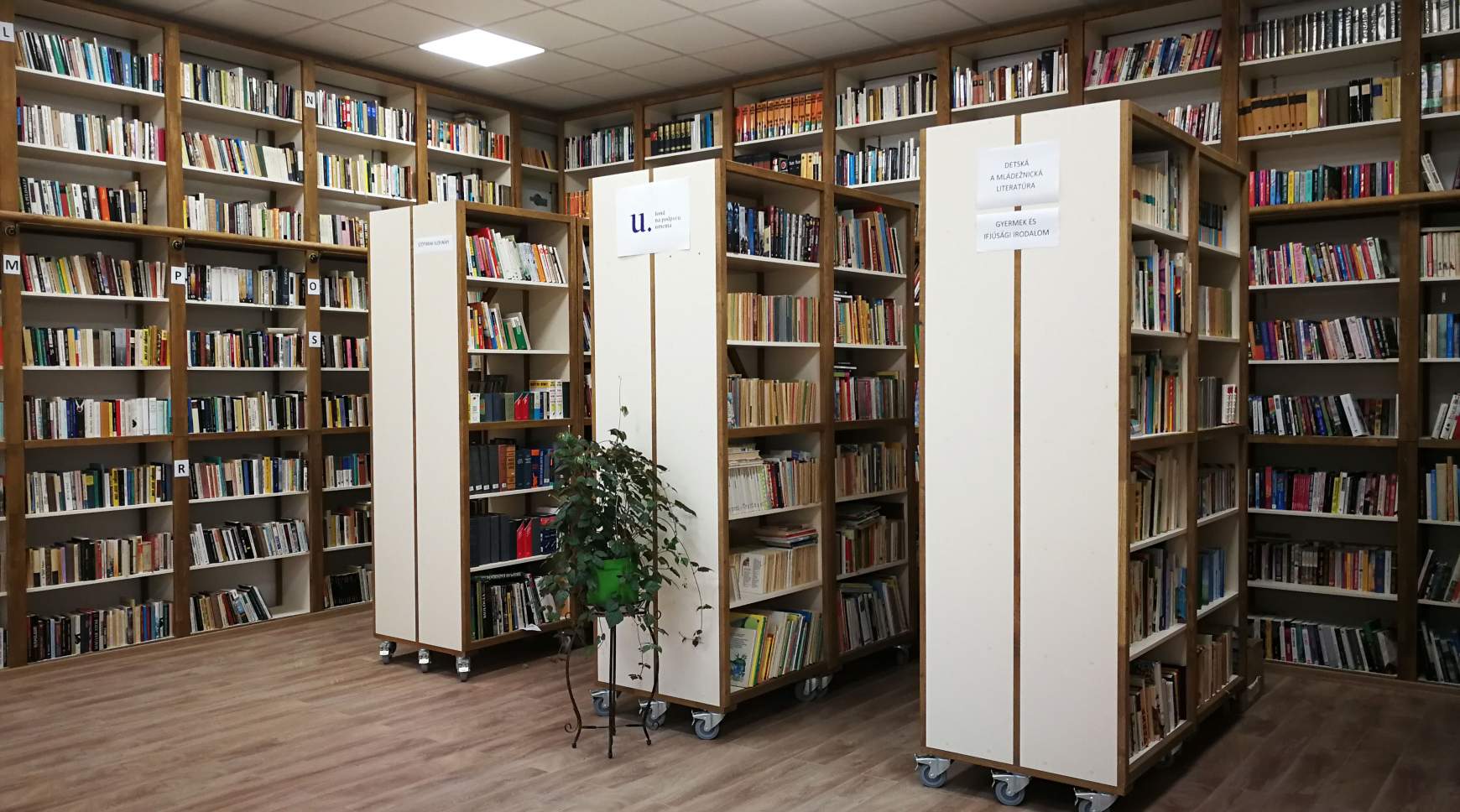 könyvtár - Molnár Gabi
