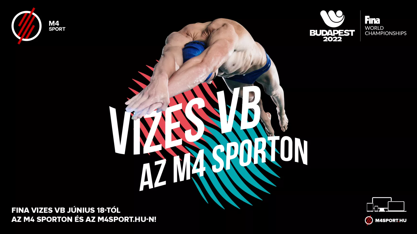 vizes VB