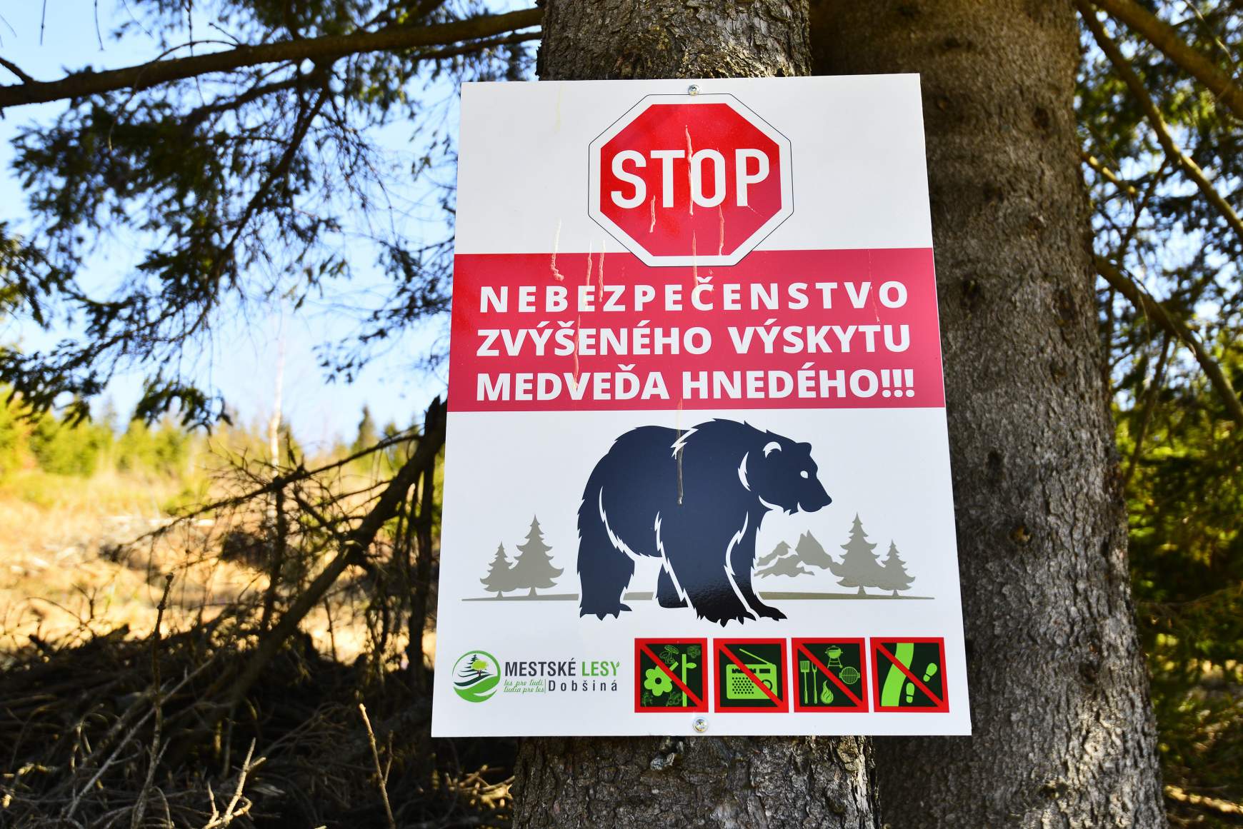 turistaparadicsom, medveveszély