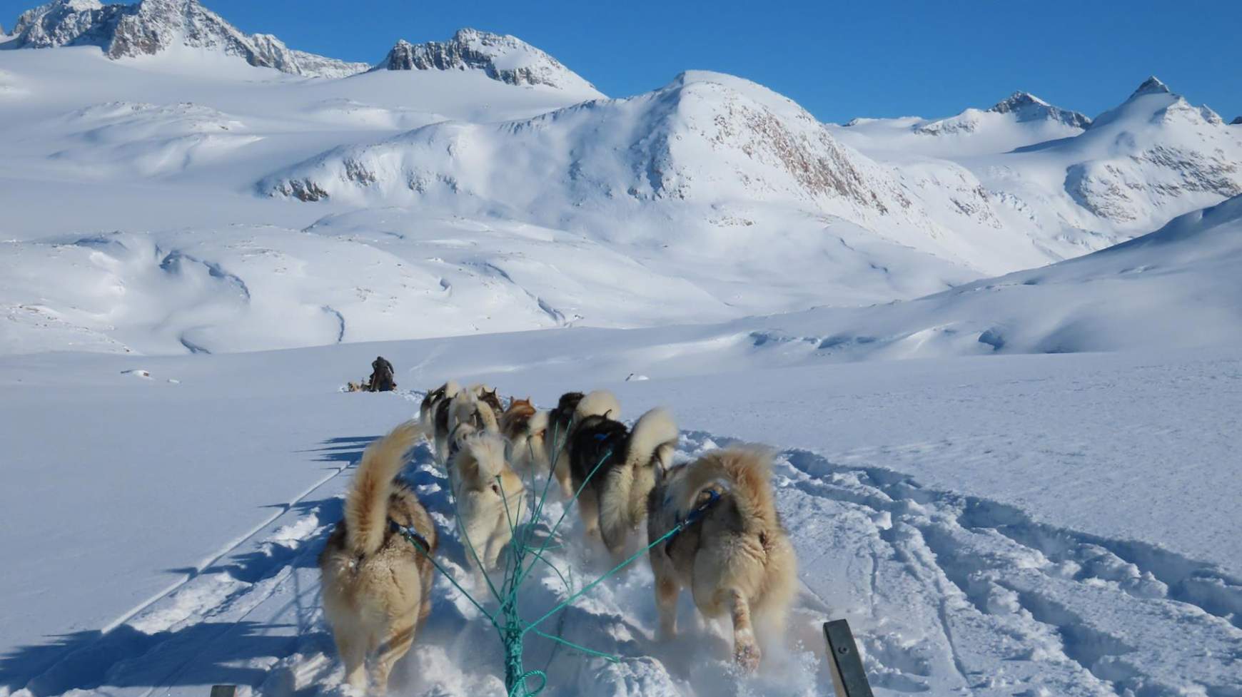 Grönland, kutyaszán